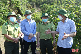 Chủ động phương án phòng ngừa, quản lý chặt người ra vào rừng lúc cao điểm nắng nóng