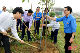 Hưởng ứng Tết trồng cây, Hà Tĩnh trồng mới gần 1,2 triệu cây xanh