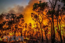 Cháy rừng ở Australia có thể liên quan đến sự suy giảm tầng ozone