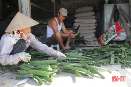 Bán mồi thanh long ruột đỏ, chủ mô hình "bỏ túi" 160 triệu đồng