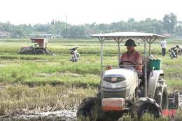 Sản xuất lúa hè thu ở Hà Tĩnh, “sớm một ngày, hay một điều”!