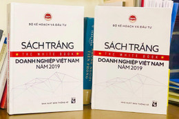 Lần đầu công bố Sách trắng doanh nghiệp Việt