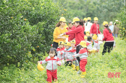 Biến đồi hoang thành trang trại sinh thái đẹp như tranh