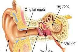 Trẻ hay bị viêm tai giữa, phải làm sao?