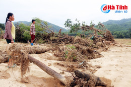 Hương Khê: Hàng trăm héc-ta bưởi Phúc Trạch tan hoang sau lũ!