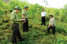 Bị thu gỗ lậu, chém cán bộ bảo vệ rừng trọng thương