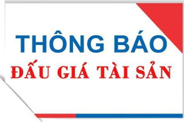 Thông báo đấu giá tài sản thi hành án xe ô tô con đã qua sử dụng