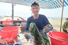 Mừng Quốc khánh, ngư dân Nghi Xuân hăng say bám biển