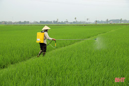 Nông dân Đức Thọ ra đồng phòng trừ bệnh đạo ôn trên lúa