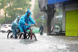 Bắc Trung bộ ngày nắng, Nam bộ và Tây Nguyên mưa to