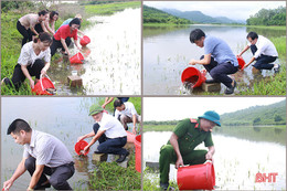 Nghi Xuân thả hơn 5 tạ cá tái tạo nguồn thủy sản 