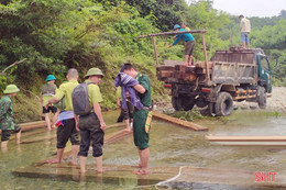 Phát hiện lượng lớn gỗ tập kết trái phép ở Hương Khê