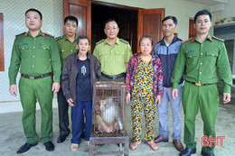 Người dân huyện Kỳ Anh tự nguyện giao nộp nhiều cá thể động vật rừng quý hiếm