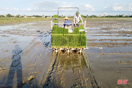 Đẩy nhanh thực hiện phá bờ thửa nhỏ hình thành ô thửa lớn tại Hà Tĩnh