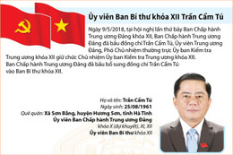 Ông Trần Cẩm Tú được bầu giữ chức Chủ nhiệm UBKT Trung ương