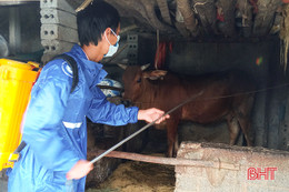 Đoàn viên thanh niên Hà Tĩnh ra quân giúp người dân phòng trừ dịch bệnh cho gia súc