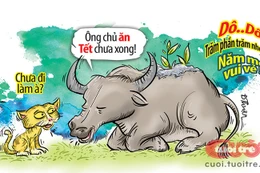 Ông chủ ăn tết xong chưa?
