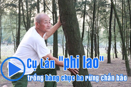 [Video] Cụ Lán "phi lao", trồng hàng chục ha rừng chắn bão