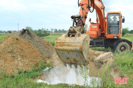 Nghi Xuân tiếp tục tiêu hủy 5 con lợn đến từ vùng dịch