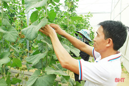 Vợ chồng giáo viên ở Nghi Xuân thêm thu nhập từ nghề “tay trái”