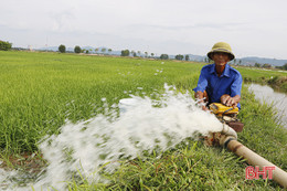 "Vựa lúa" Cẩm Xuyên, nắng to vẫn no nước