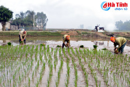 Thời tiết thuận lợi, nông dân khẩn trương xuống giống vụ xuân