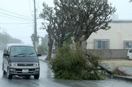 Thế giới ngày qua: Bão Trami đổ bộ Nhật Bản, nhiều hoạt động tê liệt