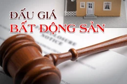 Đấu giá QSDĐ diện tích 941,7 m2 và tài sản gắn liền ở xã Tân Lâm Hương (Thạch Hà)