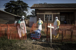 Dịch Ebola bùng phát, 502 người thiệt mạng tại Congo