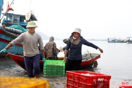 Ngư dân Hà Tĩnh trúng “lộc biển" đầu năm