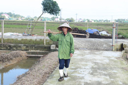 Làng rau La Xá “cướp nắng” chạy đuổi vụ đông