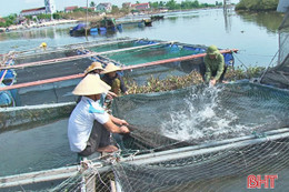 Thạch Hà hoàn thành các kịch bản ứng phó với mưa bão