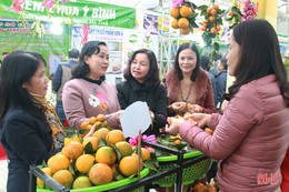 Lễ hội Cam và Sản phẩm nông nghiệp Hà Tĩnh doanh thu trên 3,2 tỷ đồng