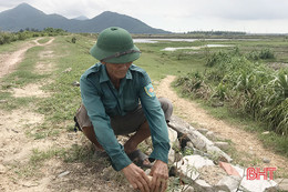 Đê lở, uy hiếp cả trăm héc-ta nuôi trồng thủy hải sản và hoa màu ở TX Kỳ Anh