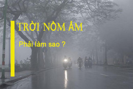 Mẹo hay đối phó với tiết trời nồm