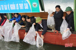 Thả hơn 2,5 tấn cá giống xuống hồ Ngàn Trươi