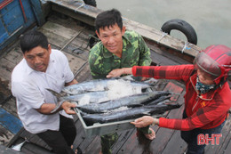 Nan giải bài toán lao động nghề biển ở Hà Tĩnh