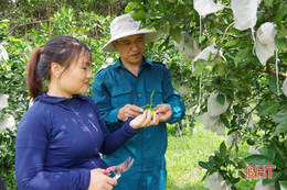 Phó Chỉ huy trưởng BCHQS xã ở Hà Tĩnh vững chuyên môn, giỏi làm kinh tế