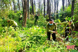 Hà Tĩnh: Vũ Quang lo canh “bà hỏa” bảo vệ rừng