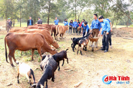 Ra mắt mô hình kinh tế do thanh niên làm chủ