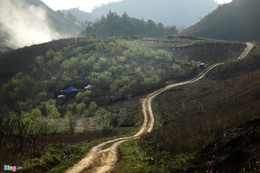 Mộc Châu đẹp như tranh những ngày đầu xuân