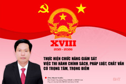 Thực hiện chức năng giám sát việc thi hành chính sách, pháp luật, chất vấn có trọng tâm, trọng điểm