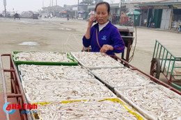 Ngư dân trúng đậm, cảng Cửa Sót đón 80 tấn cá cơm, tép moi