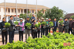 “Cùng nhau trồng cây xanh và tạo cuộc sống xanh tươi đẹp”