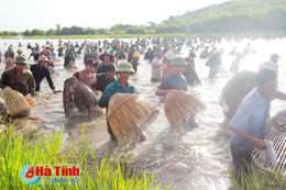 Đặc sắc lễ hội đánh cá Đồng Hoa