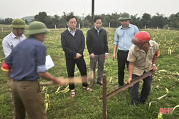 Hoàn thành cắm mốc khu vực quy hoạch mỏ cát Mỹ Yên phục vụ thi công cao tốc Bắc - Nam