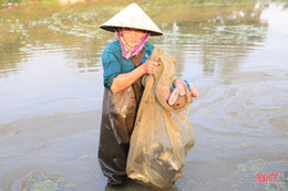 Bí quyết “biến” đất hoang thành trang trại tiền tỷ của cựu cán bộ xã ở Hương Sơn