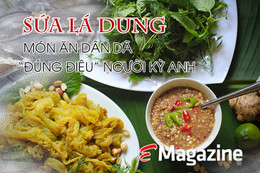 Sứa lá dung - món ăn dân dã “đúng điệu” người Kỳ Anh