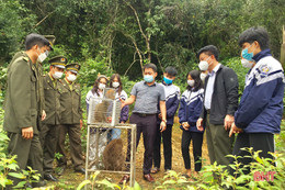 Học sinh tham gia tái thả động vật hoang dã, bảo vệ môi trường