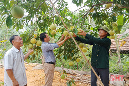 CCB Hương Sơn có 245 mô hình kinh tế thu nhập hơn 100 triệu đồng